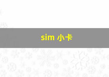 sim 小卡